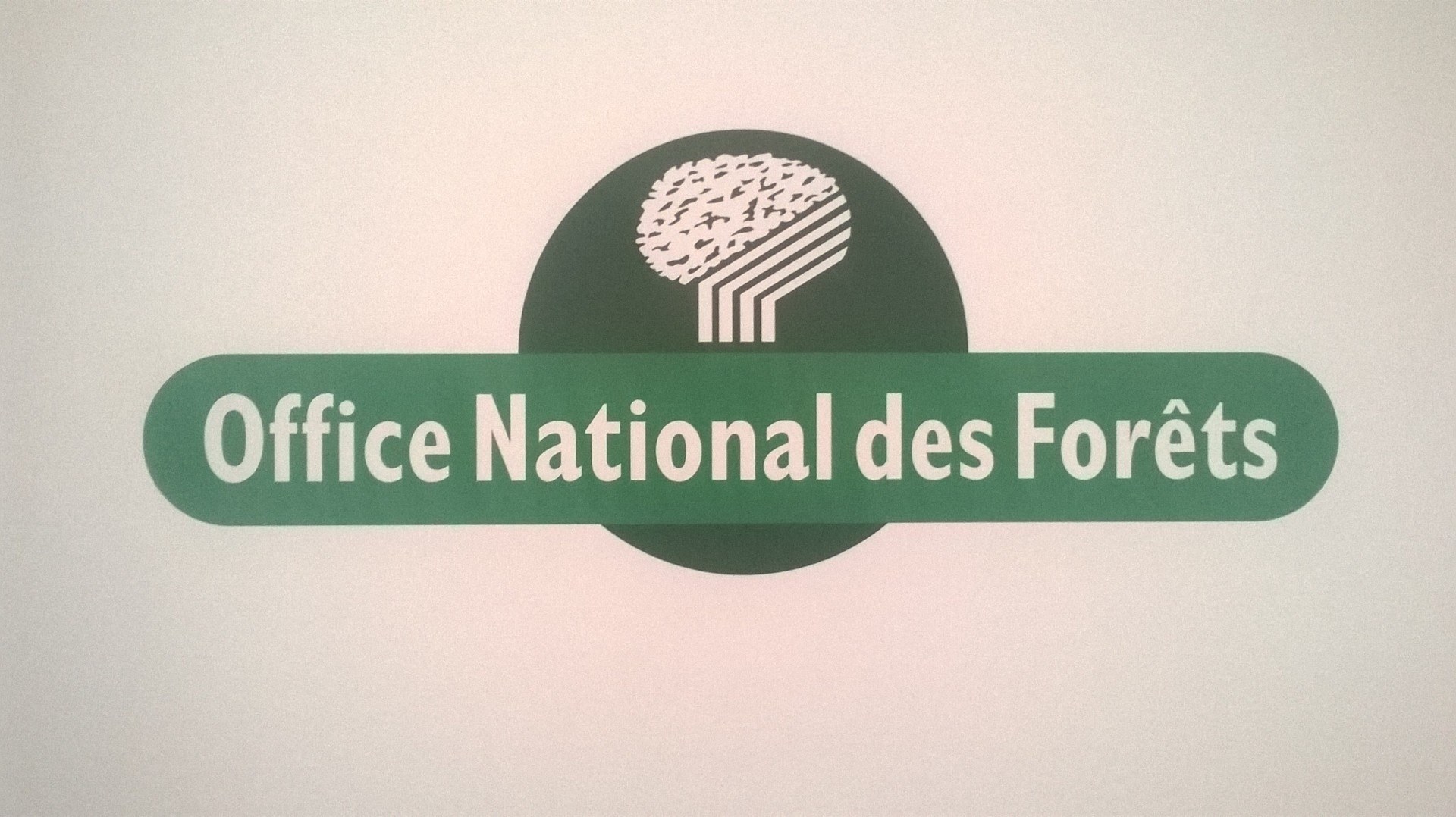 Séminaire #3