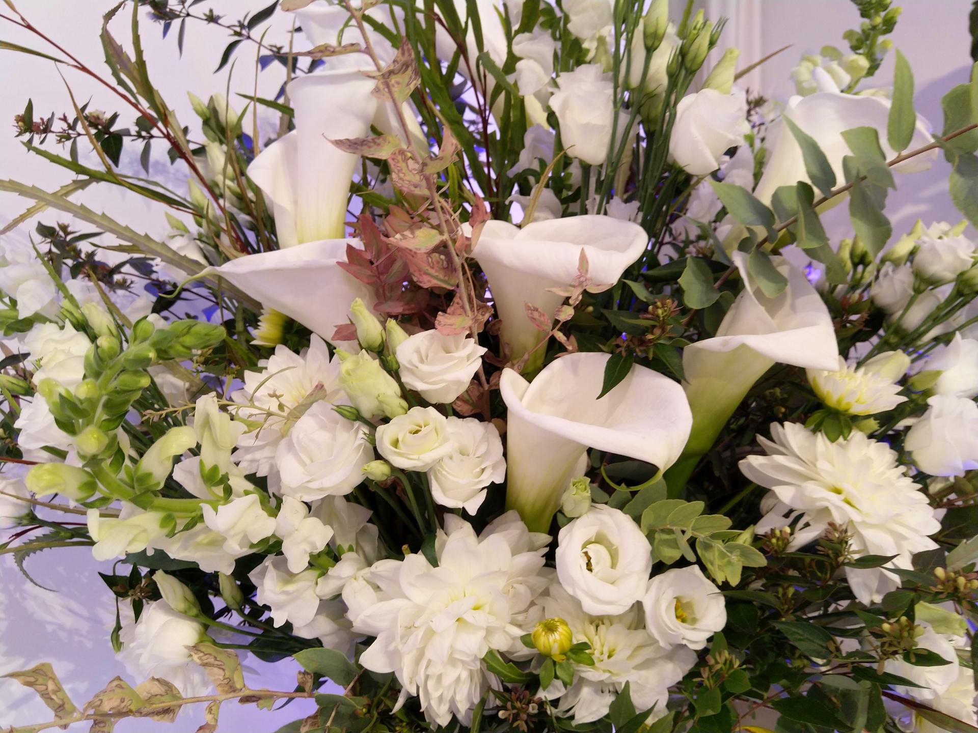 Img 20191024 181953