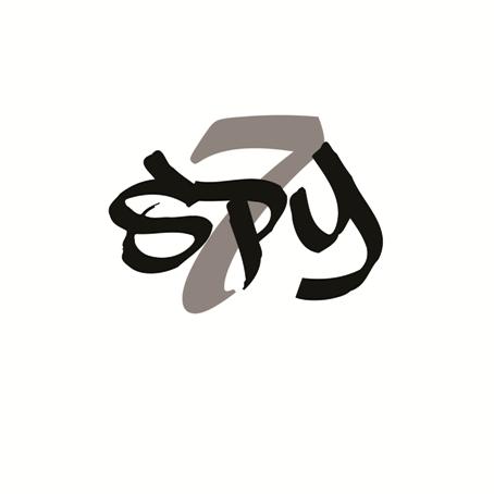 Little carre bllogo spy7 2